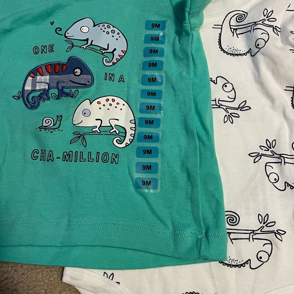 9mo Carter’s chameleon set